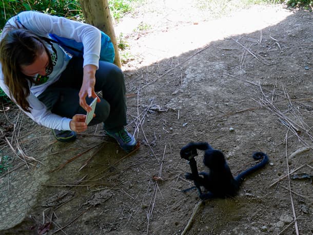 Eco-lodge nestled deep within the biodiverse Amazonian primary rainforest of Manu