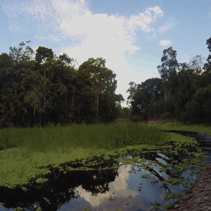 Loreto (Iquitos)