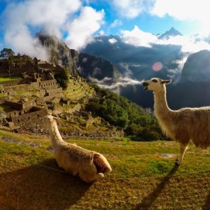 Durch das Heilige Tal nach Machu Picchu
