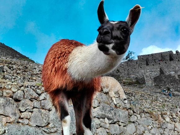 Circuit Huchuy Qosqo, Lares et Machu Picchu