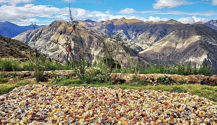 corn cusco